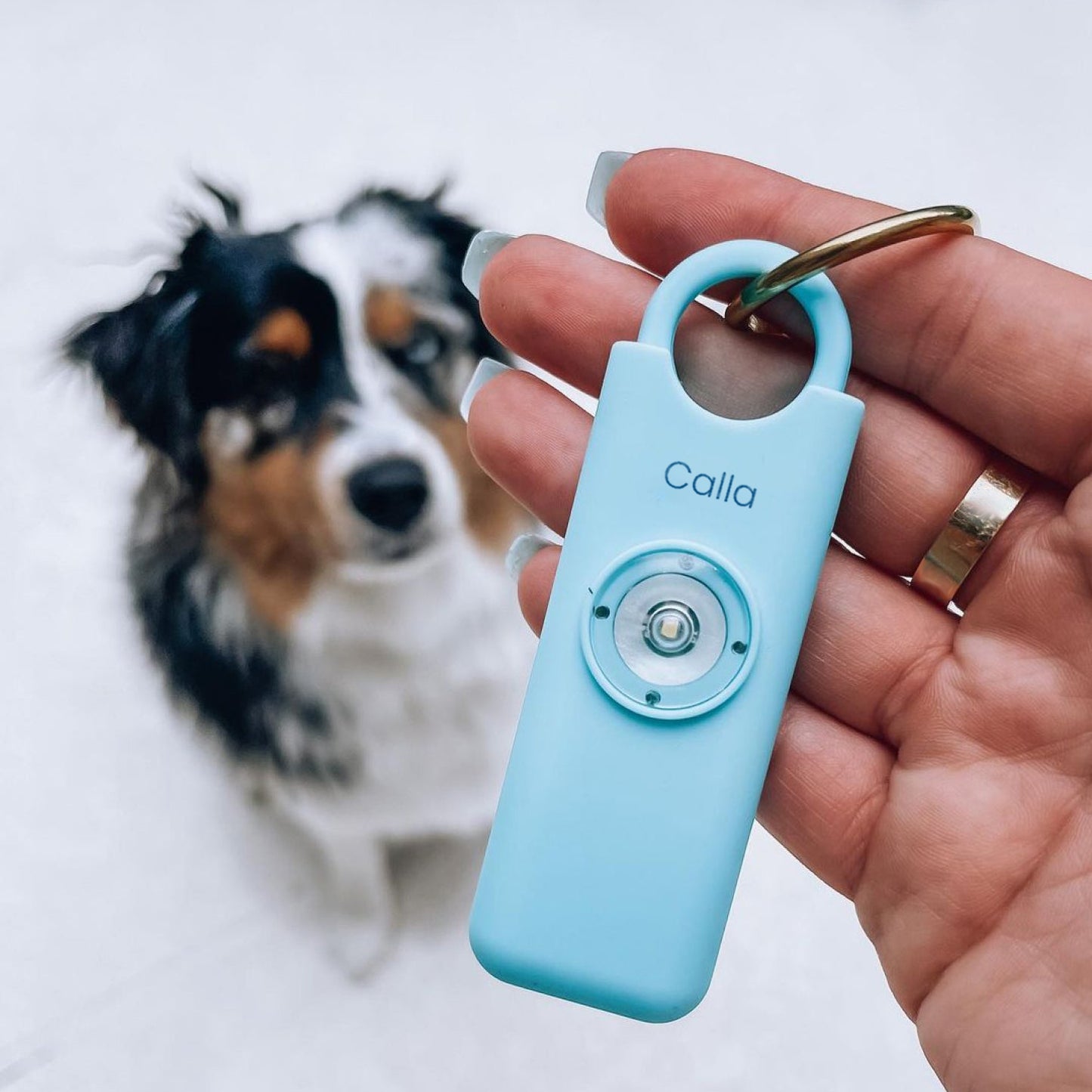 CALLA - Dein Sicherheitsalarm